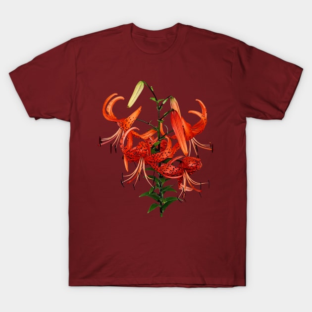 Lilies - Tiger Lilies T-Shirt by SusanSavad